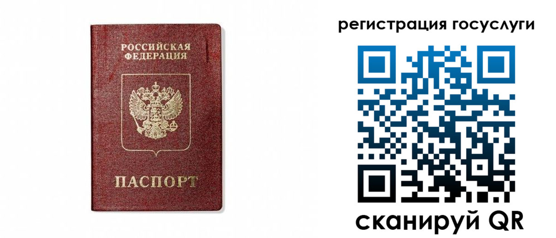 прописка паспорт в Электрогорске